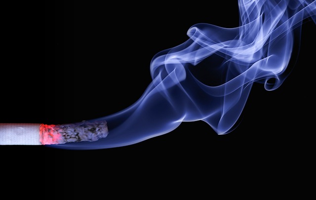Co daje palenie pało santo?